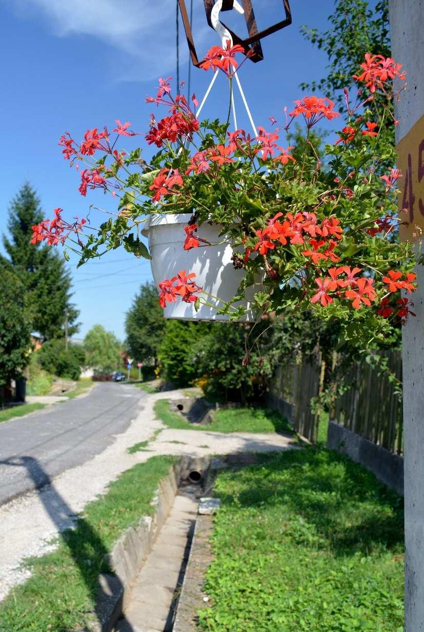 gyermekek, de a rájuk felügyelő szülők, nagyszülők is kellemes pihenő környezetben lehetnek.