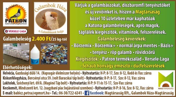 Hogyan készítsük fel járműveinket? A gépjárműveket ajánlatos alaposan átnézni, azon minden biztonsági berendezést átvizsgálni.