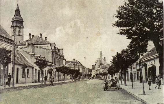 védnökeként, illetve elnökeként tevékenykedett A Magyar utca (Magyar Úszószövetség, Magyar Vívószövetség, Evezõs Szövetség, Motorjacht Klub). Fõhercegi címe alapján tagja volt a magyar felsõháznak.