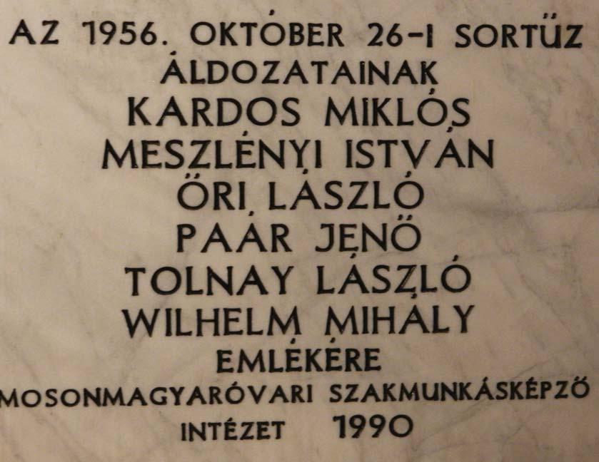 tõ belgyógyász fõorvos és kórházigazgató helyettes lett. Országgyûlési képviselõként tagja volt a szociális, egészségügyi és családvédelmi bizottságnak.