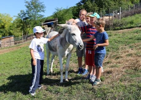 A gyermekek megismerkednek a kresz táblák jelentésével, a közlekedési szabályok alapjaival.