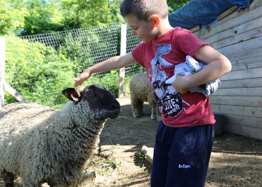 változtatási jogát