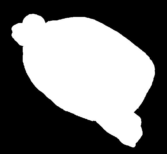 MÁJPÁSTÉTOM