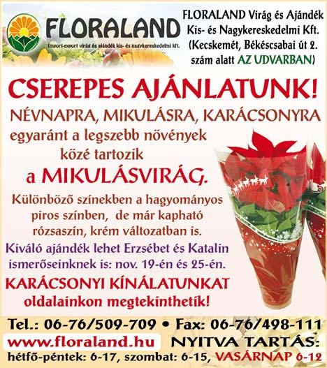 hu weboldal Családi történet pályázat oldalán pályázatok