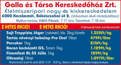 Műszaki végzettség nem feltétel.