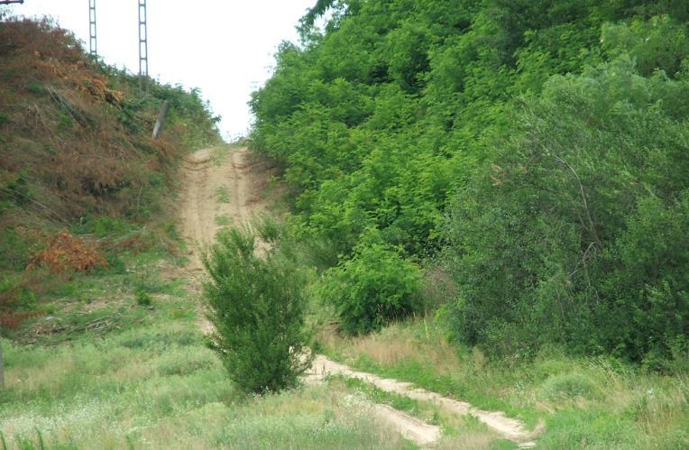mezőgazdasági területtel találkozik.