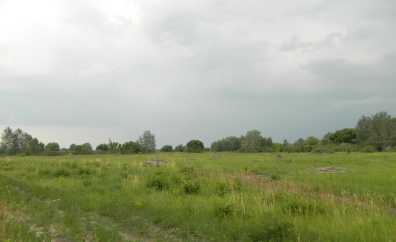 A vele párhuzamosan futó Petőfi utca és Hunyadi utca hangulata hasonló, hosszúkás,