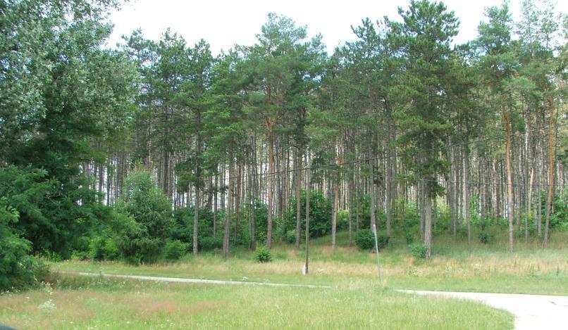 egészségügyi, szociális.