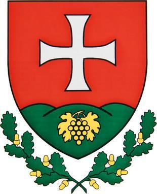 KÉZIKÖNYV