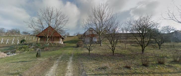 A területen folytatott szőlőművelést a hagyományos tájelemek közé sorolhatjuk.