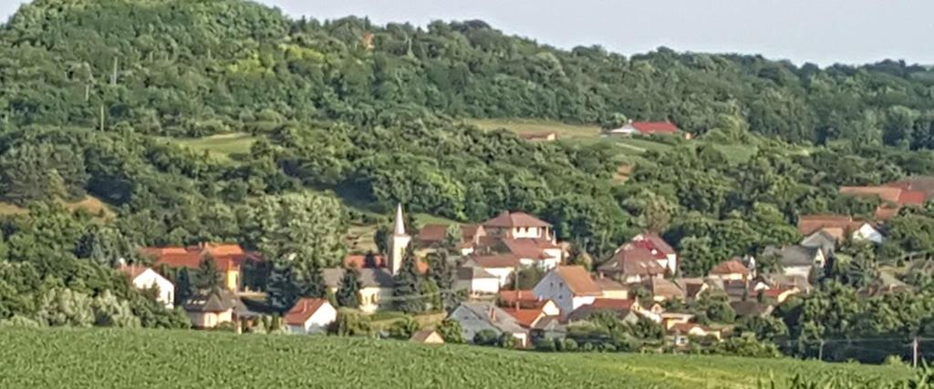 2 Zselickislak bemutatása általános településkép, településkarakter Zselickislak a zselici dombok között, a Pölöske-patak völgyében meghúzódó zsáktelepülés.