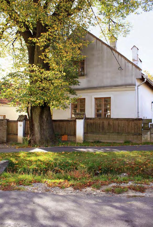 11 Örökségünk Lókút csak Zirc felöl közelíthető meg, de talán pont ez a védettség adta meg ennek a kis zsákfalúnak az esélyt, hogy elsősorban