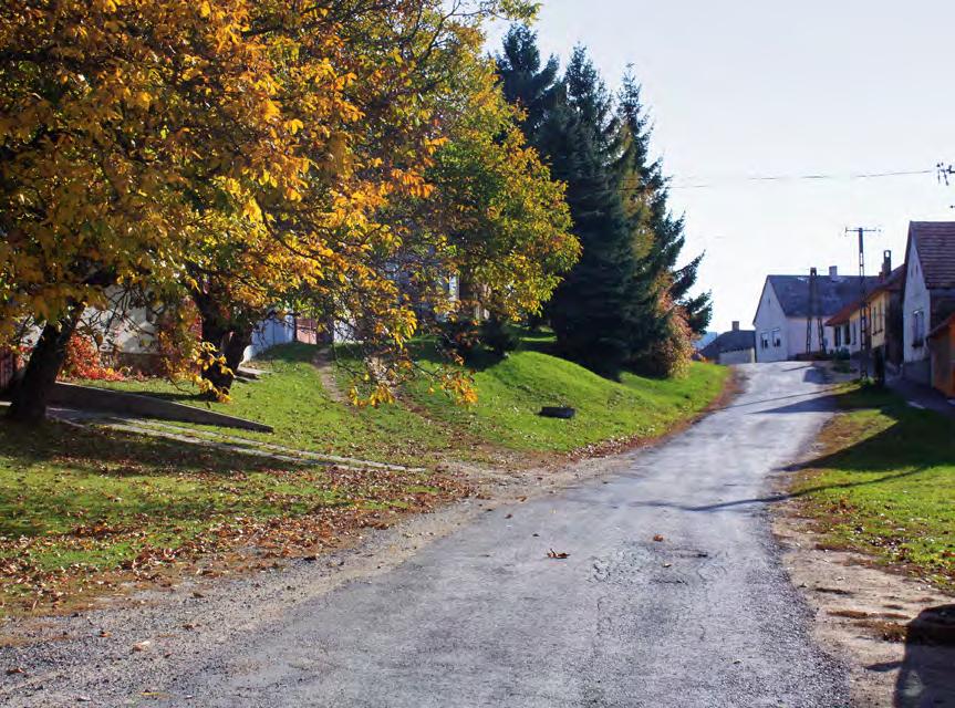 35 Hirdetések, reklámtáblák HIRDETÉSEK, REKLÁMTÁBLÁK 8 Lókút utcái gyakorlatilag mentesek a reklámtábláktól, többekközt ezáltal is különösen letisztult a település utcaképe.