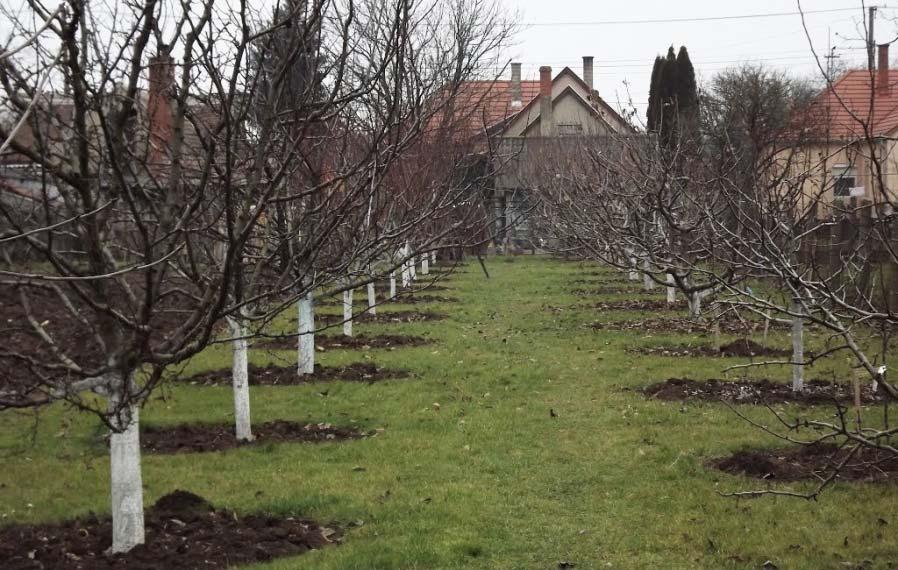 Építészeti útmutató 27 Pihenőkert, udvar A falu életében fontos szerepet töltött be a mezőgazdaság.