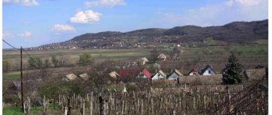 DOMBBAL.