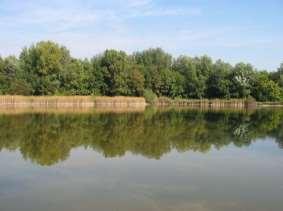 -Tisza köze homokterülete fokozatosan kiirtották, és az I.