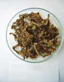 ábra: Szárított cukorrépa-szelet és cukornád melasz (Forrás: Simon László fotója (balra), http://hu.wikipedia.org/wiki/melasz_(élelmiszer) (jobbra)) Az édesipari célra feldolgozott kakaóbab (II.7.6.