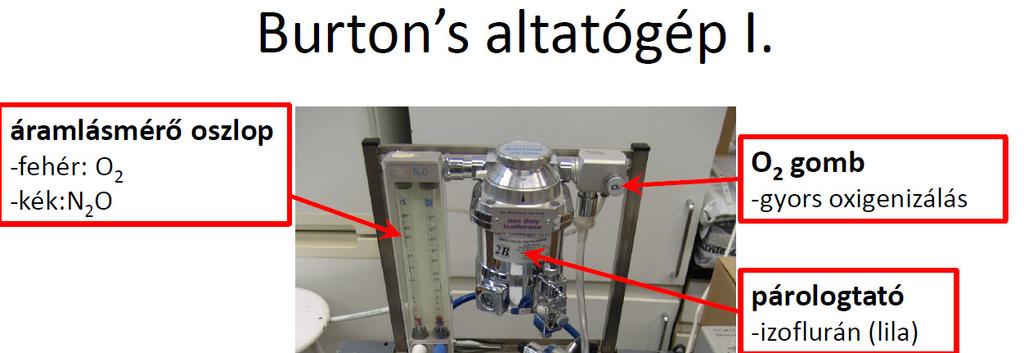 6/2. Additional Task specific modul 20: Rágcsálók inhalációs altatása (Inhalation anaesthesia of rodents) Dr.