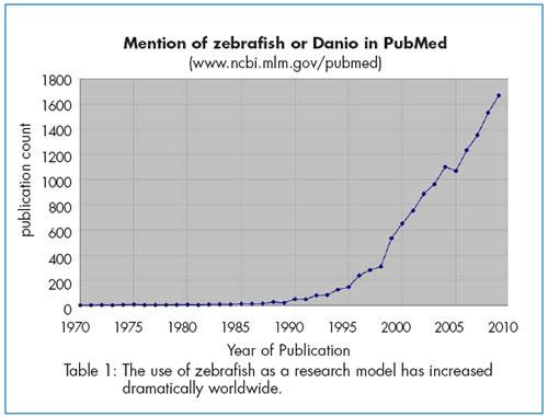 A zebradánió, más néven Danio rerio, egy trópusi, édesvízi hal mely a pontyfélék családjába tartozik, Himalája délkeleti régiójában őshonos, de megtalálható India számos részein, Pakisztán,