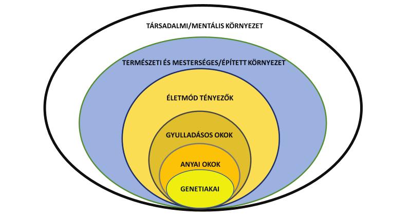 5) természeti és mesterséges környezeti faktorok endokrin diszruptorok talaj, víz, levegő polluciója alacsony jódfelvétel földrajzi viszonyok o magaslat, domborzati viszonyok o éghajlat, hőmérséklet