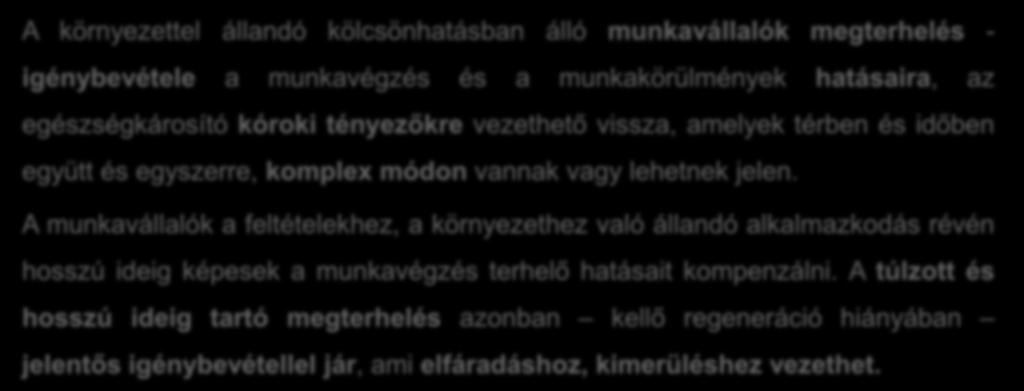 A munkaegészségügyi megközelítés alapja A környezettel állandó kölcsönhatásban álló munkavállalók megterhelés - igénybevétele a munkavégzés és a munkakörülmények hatásaira, az egészségkárosító kóroki