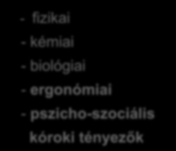 - kémiai - biológiai - ergonómiai - pszicho-szociális kóroki