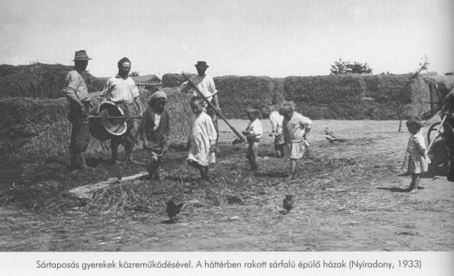 Előkészítése Egy 4-5 m átmérőjű, 40-50 cm vastag ágyásban elterített alapanyagot kapával megvágták, megforgatták, vízzel keverték.