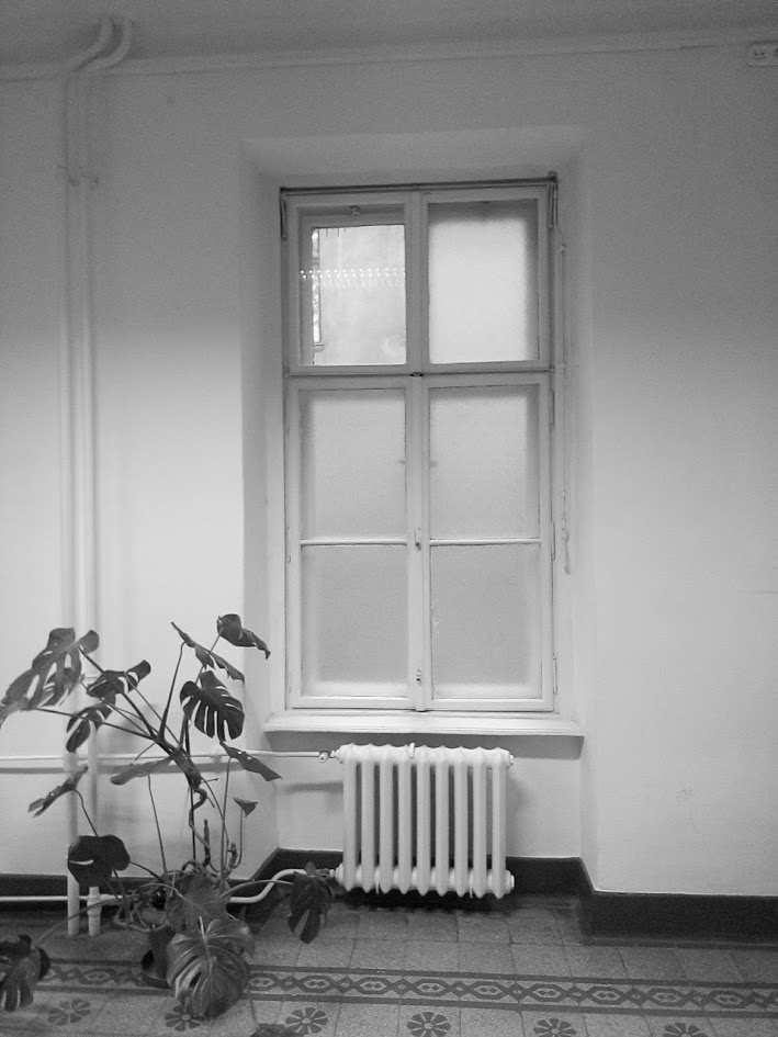 esztétikai paraméterei meghatározásának céljából történt.