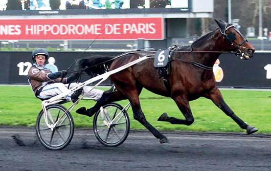 A sokszoros champion Bazire bizalma töretlen a Love You ivadék irányában, nyilatkozataiból is áradnak a pozitív büszkeségére.