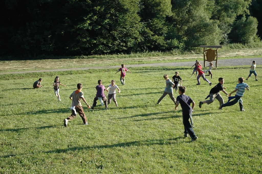 Telihold túra a hosszúhetényi rétre (Mecsek Zöldúttal közös túra) 28. CSÜTÖRTÖK Találkozó: 21.