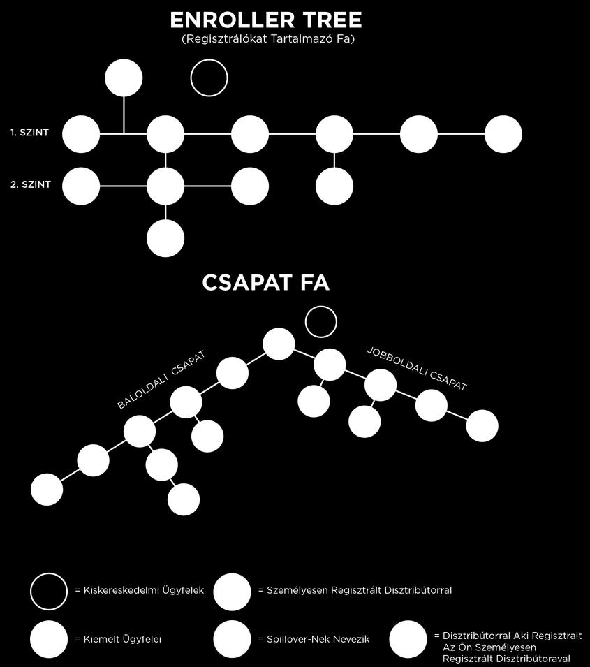 4. ábra Enroller Tree: Az Ön által személyesen regisztrált disztribútorok A-tól D-ig, akiknek mindegyike Szponzori Vonalat kezd az Ön Regisztrálókat Tartalmazó Fáján.