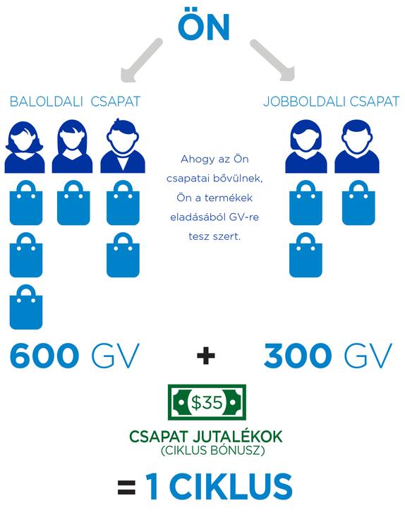 3RD PÉNZKERESETI LEHETŐSÉG: CSAPAT JUTALÉKOK TEGYEN SZERT JUTALÉKRA A CSAPATAI ÉRTÉKESÍTÉSEI RÉVÉN A disztribútori hálózat kiépítése folyamán, a disztribútorok rákerülnek a Ön disztribútorokat