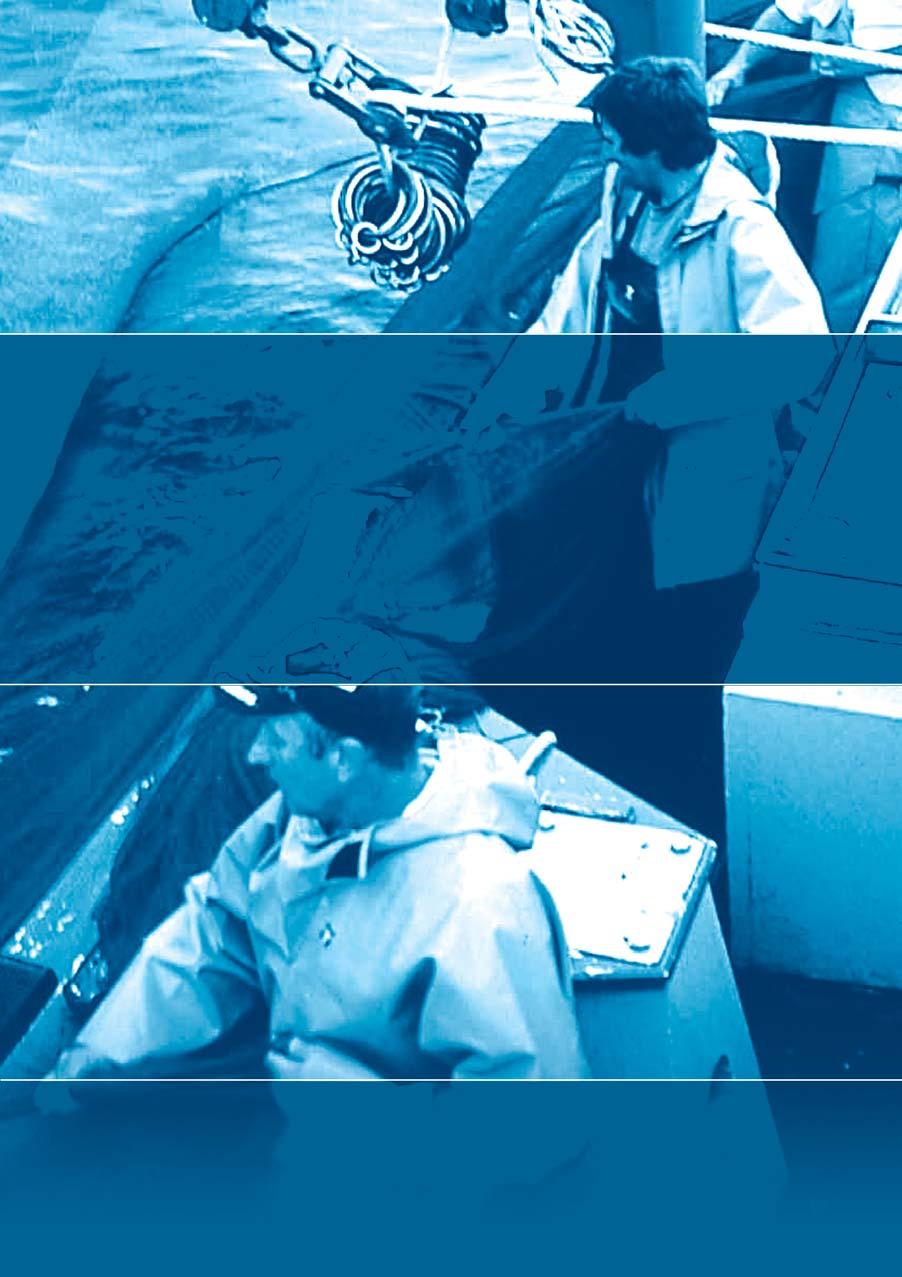 Foglalkoztatás a halászati ágazatban EMPLOYMENT IN THE FISHERIES