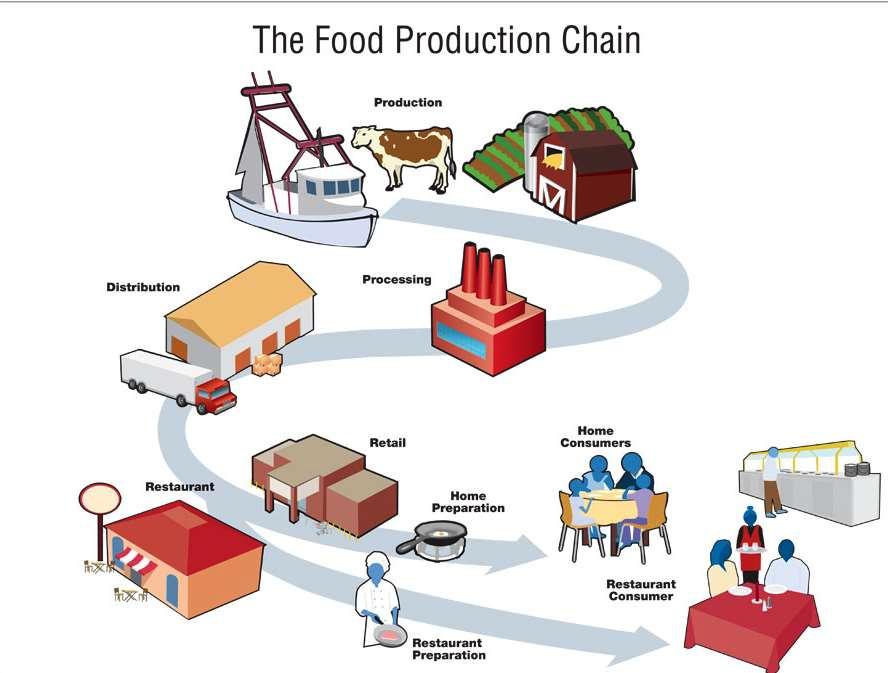 MEGELŐZÉS - HACCP Hazard - Veszély Analysis - Elemzés Critical - Kritikus Control - Szabályozási Point (s) - Pontok WHO Codex Alimentarius Az élelmiszer higiénia magában foglalja az ös sze s sz üks