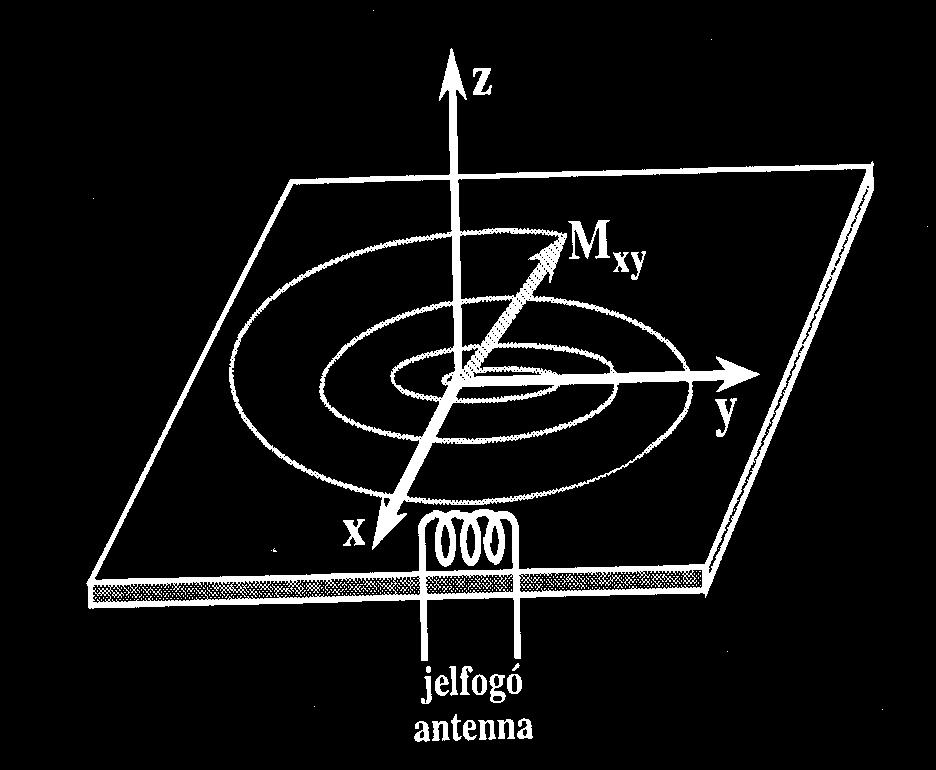 Következménye: Az X-Y síkban a gerjesztés alatt
