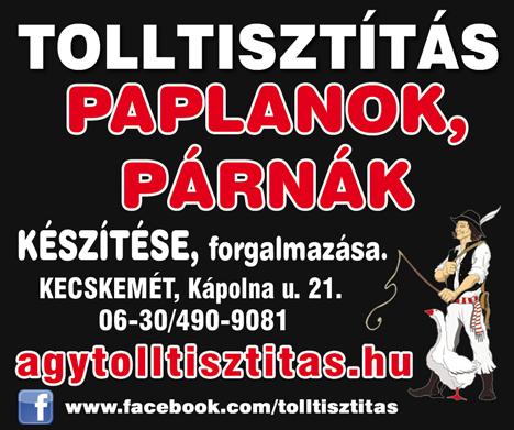 a MotoStudent csapat versenymotorján is és megfigyelhették egy méhkas működését.