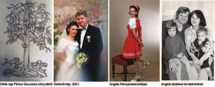 Angyal a táraasztal mögött dr. Revoly Angéla gyógyszerész Minden találkozás egy élmény.