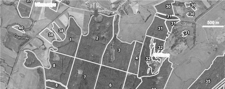 SzalacsiÁ et al.:layout 1 2/18/16 12:45 PM Page 2 szin ten tettek javaslatot természetes kocsányos tölgyes felújítási módszer alkalmazására.
