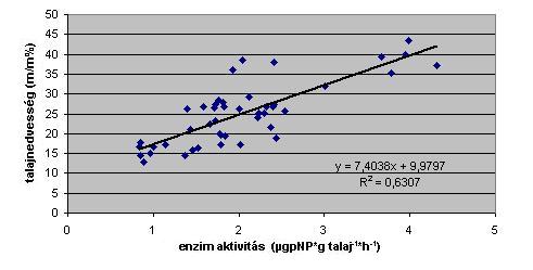 (R=0,79) korrelációt tapasztalunk a talajnedvesség és az enzimaktivitás között (8. ábra.