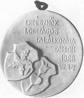 Forrás avatás 96 4-118 E: Szélen széles körbefutó aranycsík, középen fekete kontúrral zöld erdészcsillag. A felső negyedben feketével, ívesen' FORRÁS AVATÁS, alul 1985 06. 07. felirat.
