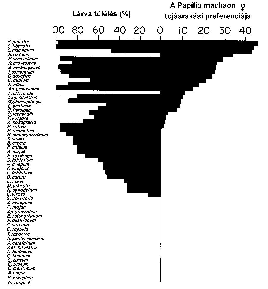 Kényszerfeltételek a herbivoria szempontjából: 1.