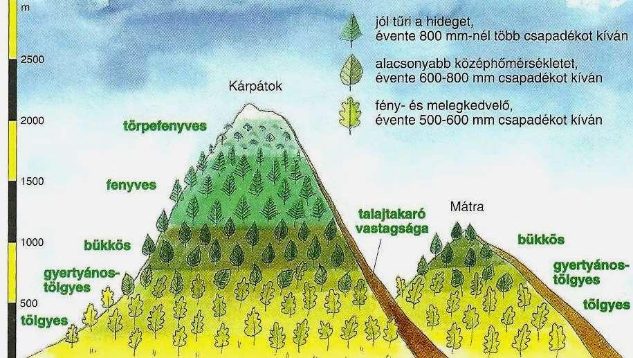 Függőleges növényzeti övezetesség Probléma: hogyan