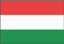 3 Country reports ezek a szolgáltatások lakóotthonokhoz hasonlítanak és egyetlen épületben akár 12 férőhellyel is működhetnek.