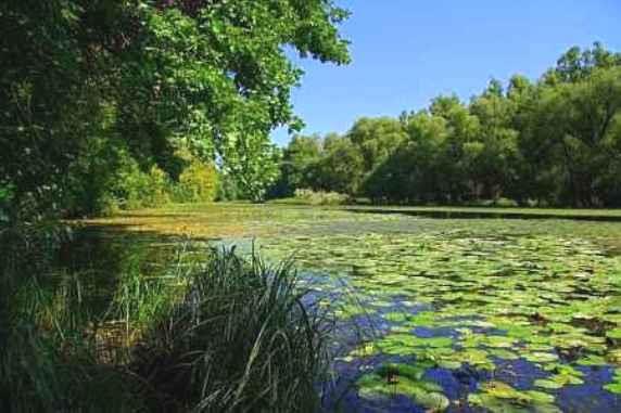 Biharugrai Hortobágyi Nemzeti Park