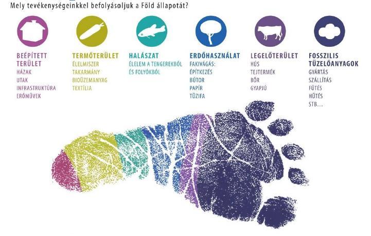 Ökológiai