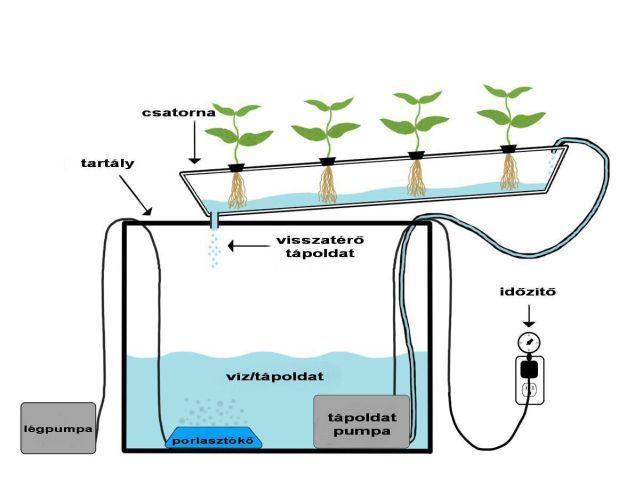 Modern dísznövénytermesztés és kereskedelem Az NFT (Nutrient Film Technique) vázlata Az agregatponika felé átmenetet képez a PPH (Plant Plane Hydroponic) kultúra, e módnál a tápoldat afféle