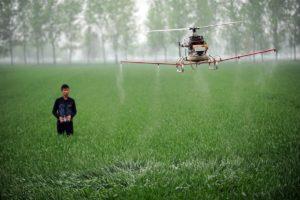 Drónok a mezőgazdaságban Termés (táblák, növénytakaró, stb.