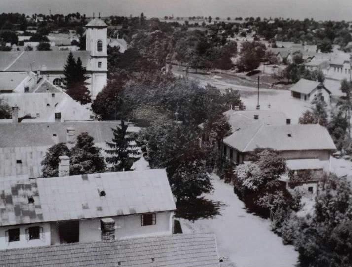 Mélyreható társadalmi változások azonban csak a 1980-as évek végén, 1989-től bontakoztak ki a szocialista