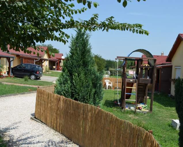 zöldségek és fűszerek mindennapi étkézésünk részei, melyeket sokszor kis odafigyeléssel otthon is termelhetünk.