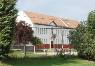 tesznek, árnyékuk alatt akár 5-10 C -al alacsonyabb is lehet a hőmérséklet.
